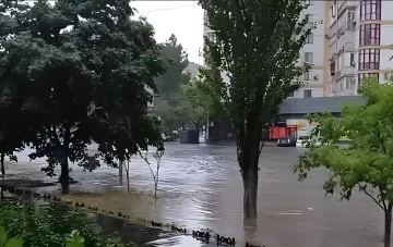 Затопленная улица в Одессе после мощного ливня, вода по колено, деревья и автомобили частично погружены в воду