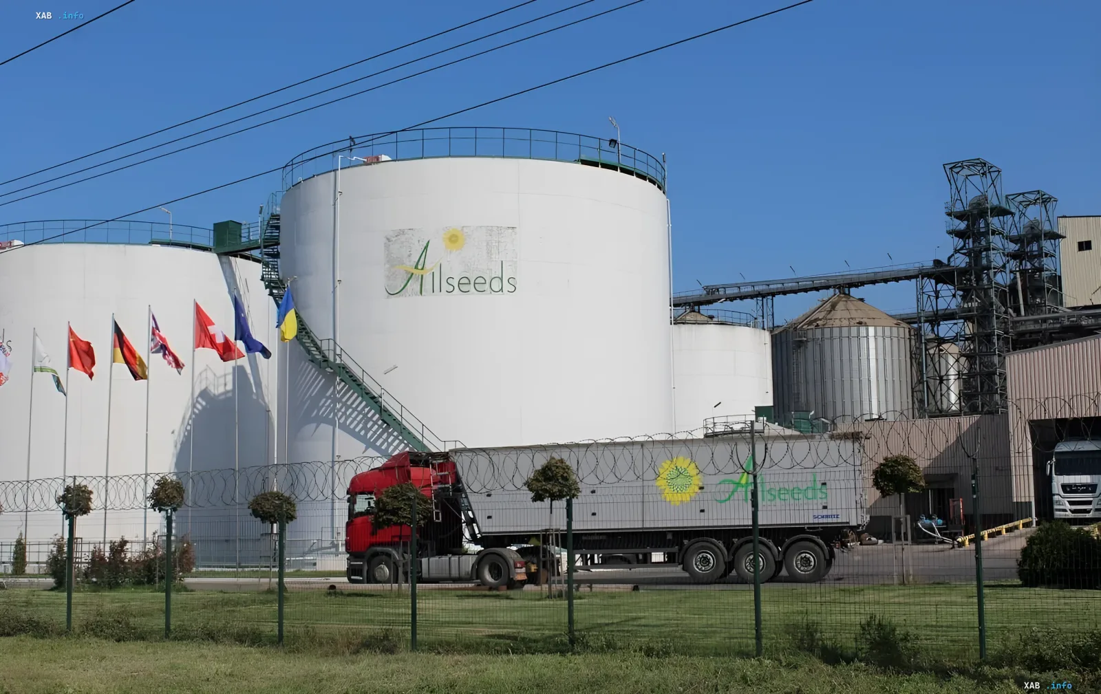 Allseeds-Werk in Odessa: Produktionsstillstand aufgrund von Hafenangriffen und Lähmung des Pflanzenölexports