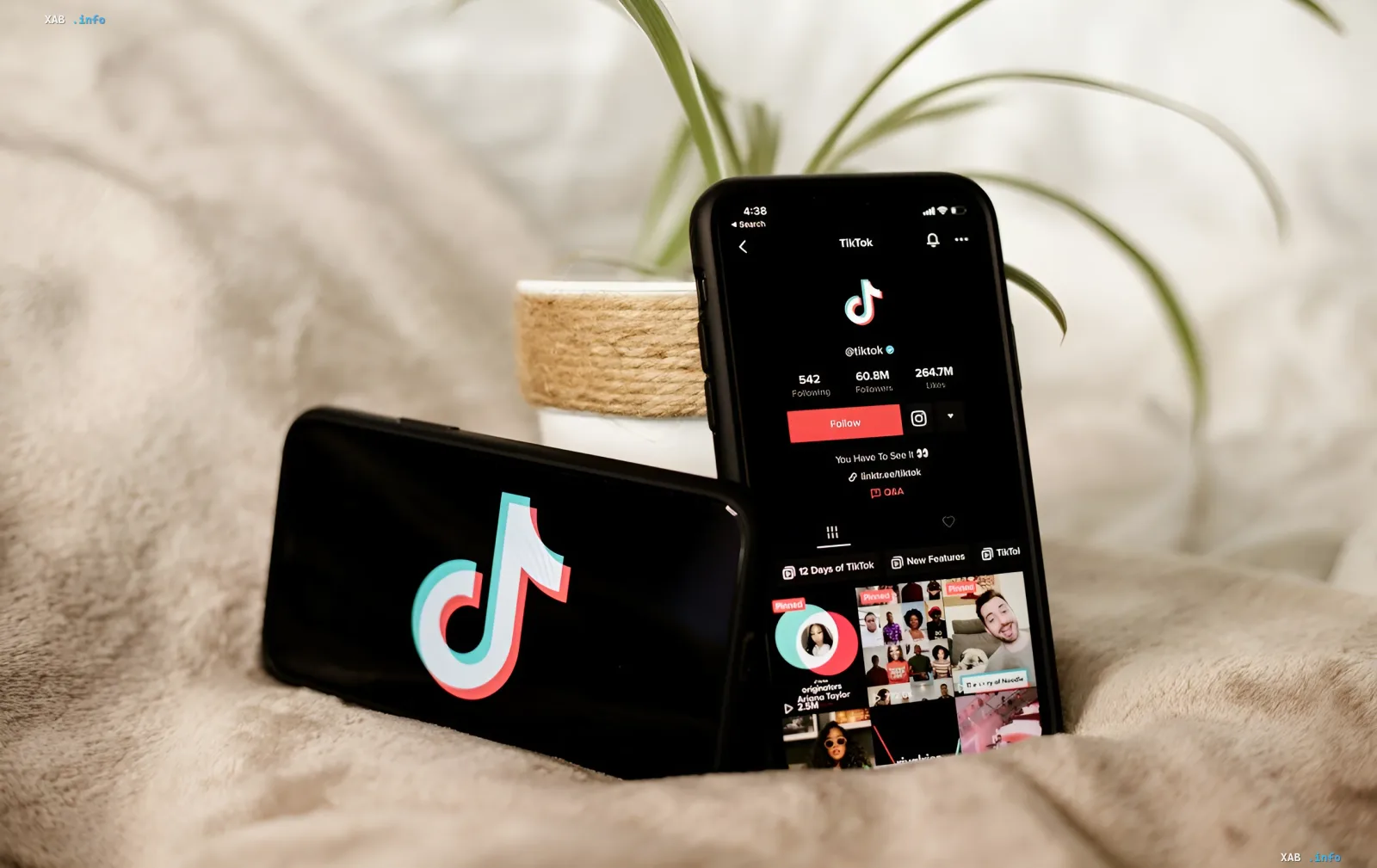 Два смартфона с открытым приложением TikTok на экране, символизирующие проблему защиты детей в соцсетях по версии Еврокомиссии