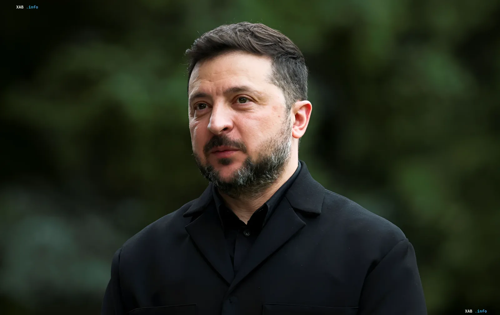 Президент Украины Владимир Зеленский в черном костюме на фоне зелени, обсуждает мирные переговоры и возможное перемирие с Дональдом Трампом