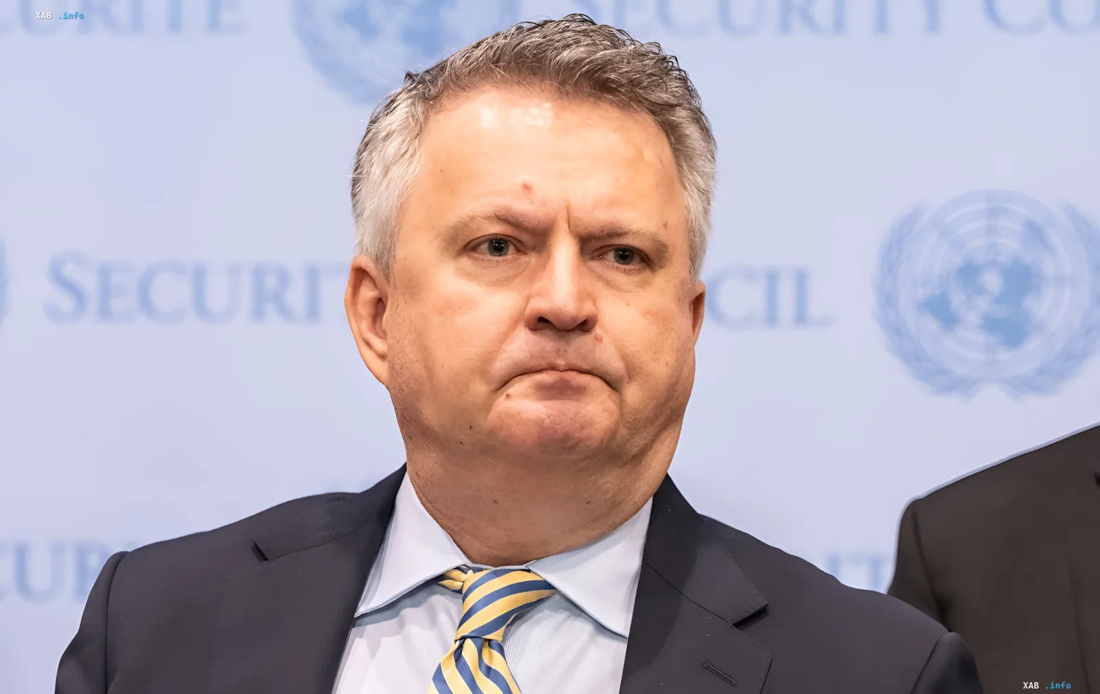Министр иностранных дел Украины Дмитрий Кулеба на фоне логотипа Совета Безопасности ООН, обсуждая сотрудничество с Японией по производству Patriot