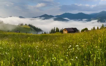 Пейзаж с туманом в горах и цветущим лугом — иллюстрация к статье о климатических аномалиях и фейковых прогнозах