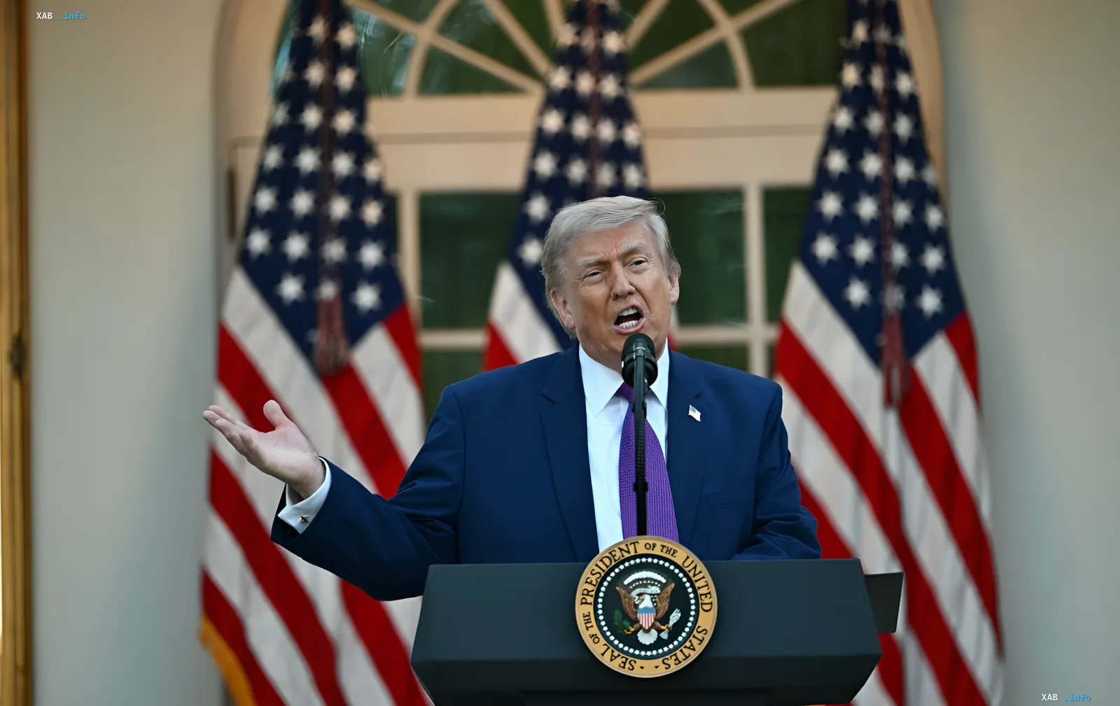 Дональд Трамп выступает с речью у трибуны с гербом президента США, призывая Зеленского и Путина к немедленному завершению войны