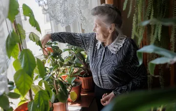 Пенсионерка ухаживает за комнатными растениями у окна — символ спокойной жизни, которую можно сохранить, сменяя способ получения пенсии без визита в ПФУ