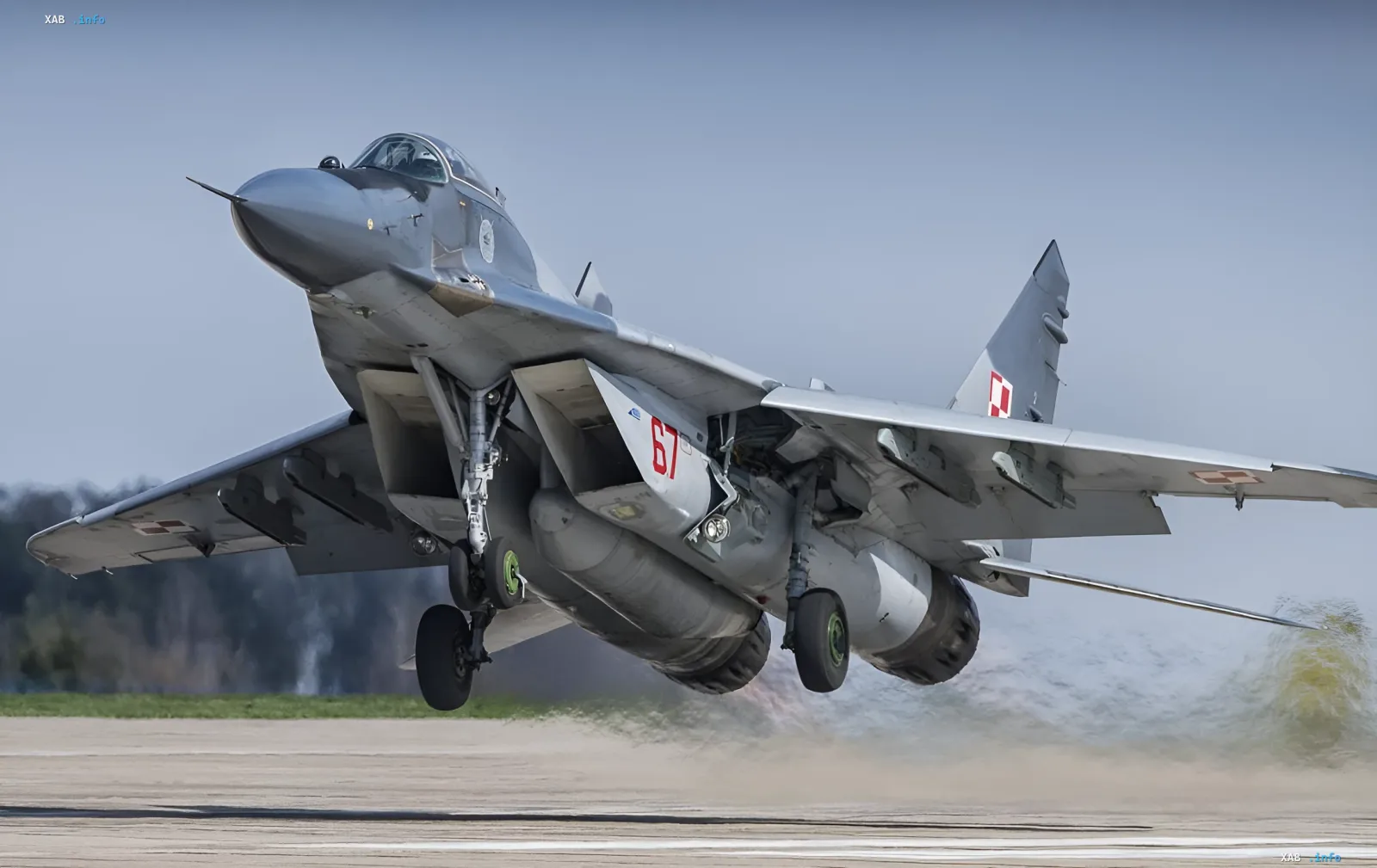Польський винищувач МіГ-29 на зльоті: ключовий актив у пропозиції України обміняти літаки на дрони