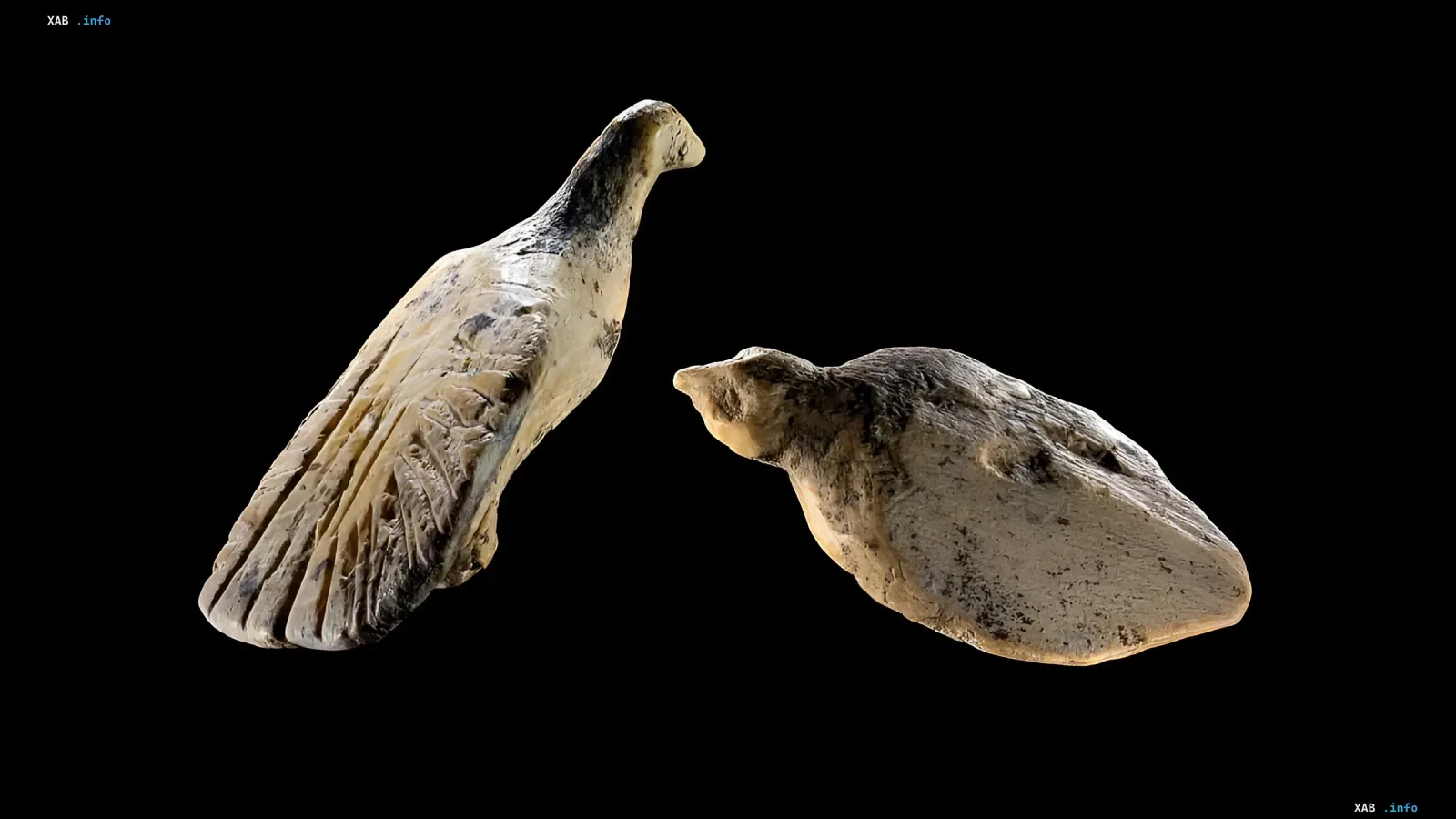 Microscopic bird sculptures from Hohlenfels Cave, found during the Ice Age