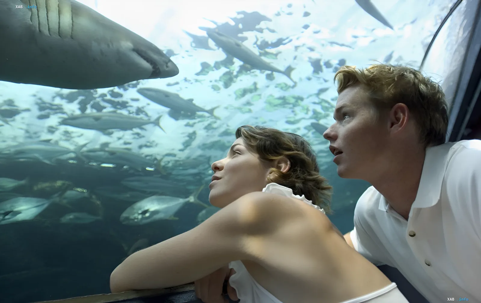 Junges Paar staunt über Haie in einem riesigen Aquarium — idealer Ort für ein romantisches Date in Kiew
