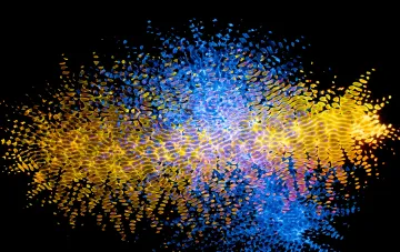 Визуализация столкновения частиц в ускорителе CERN: рождение первичного вещества из легких ядер, напоминающее Большой взрыв