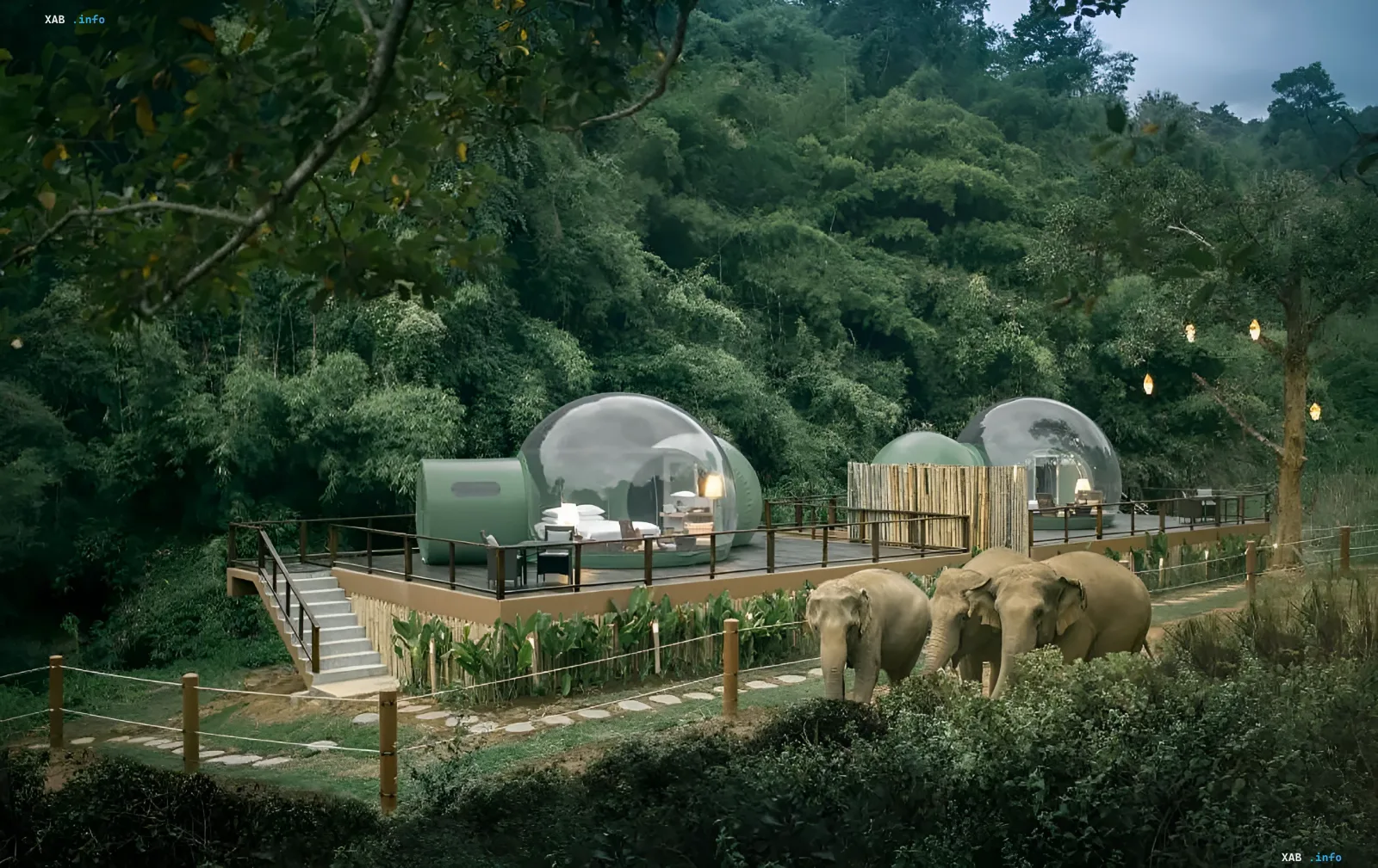 Transparent bubble tents in the jungle with a view of elephants near the hotel's wooden terrace