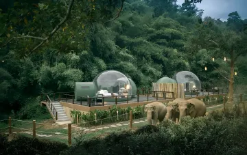 Transparent bubble tents in the jungle with a view of elephants near the hotel's wooden terrace