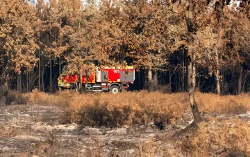 Український пожежний автомобіль ДСНС у лісі Жиронди, Франція, під час боротьби з лісовими пожежами