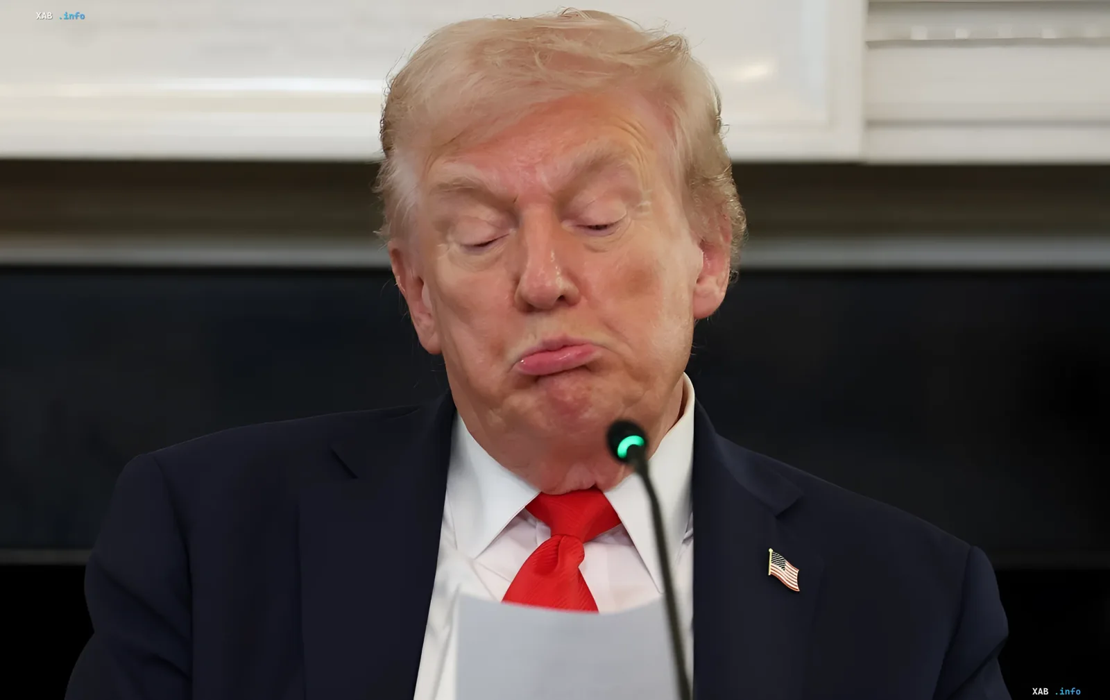 Donald Trump während einer Rede, während 25 US-Bundesstaaten eine Klage gegen seine neuen Zölle eingereicht haben