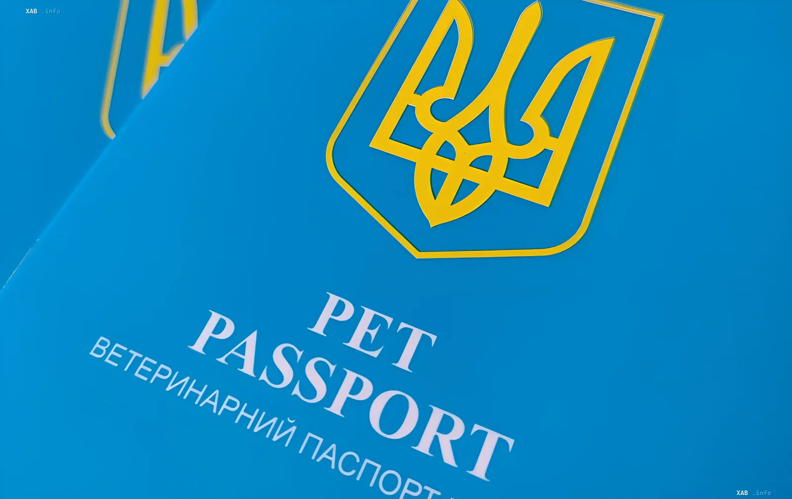Новый ветеринарный паспорт для животных в Украине с гербом страны и надписями на русском и английском языках