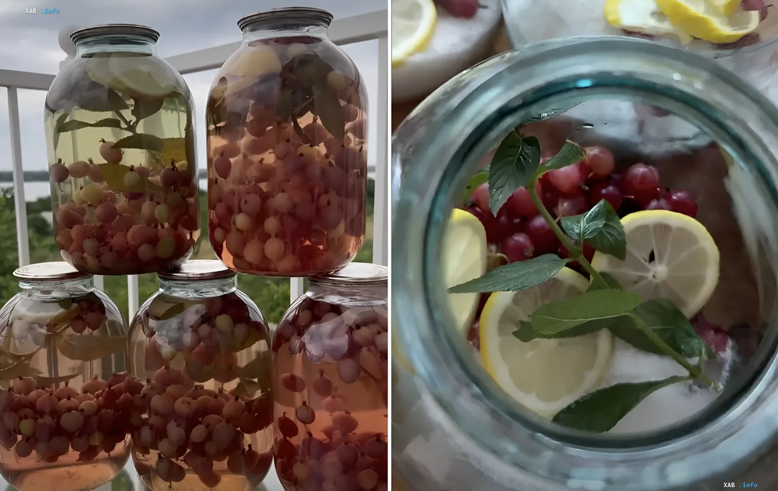 Стеклянные банки с красной смородиной, лимоном и мятой для зимнего мохито
