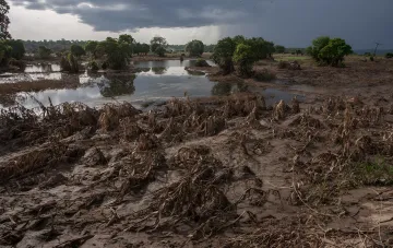 Высохшее поле с остатками кукурузы и лужами воды под грозовыми тучами — символ климатического парадокса июля 2026 в Украине