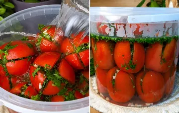 Process of making quick stuffed tomatoes: pouring brine into a container