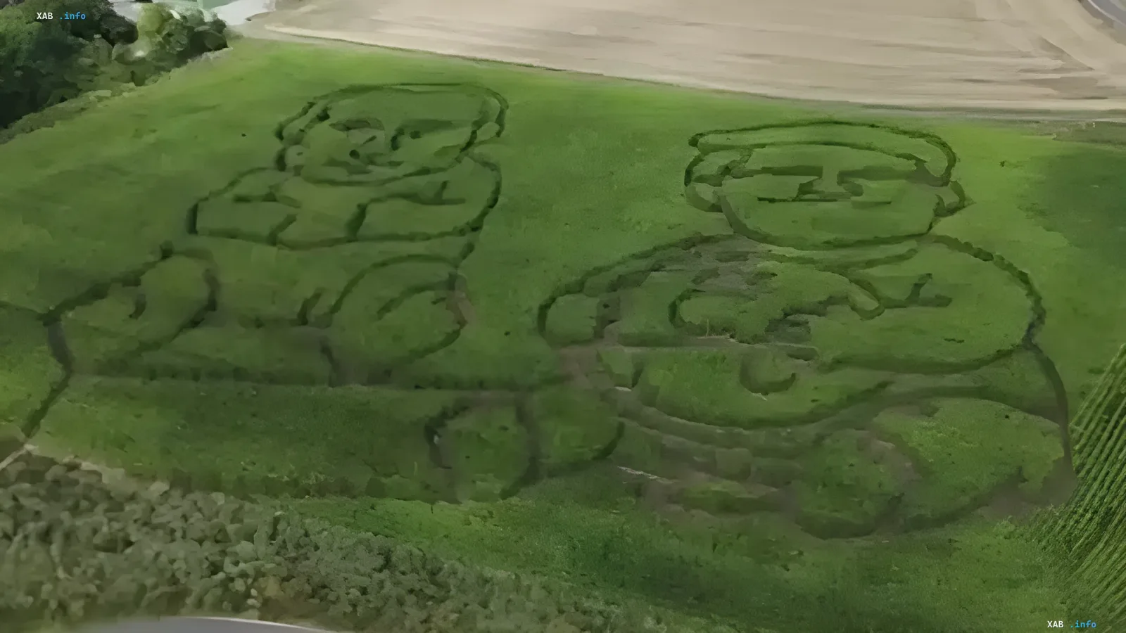 Aerial view of a German cornfield featuring carved portraits of Vladimir Putin and Donald Trump as swaddled babies — a political maze created by a German farmer