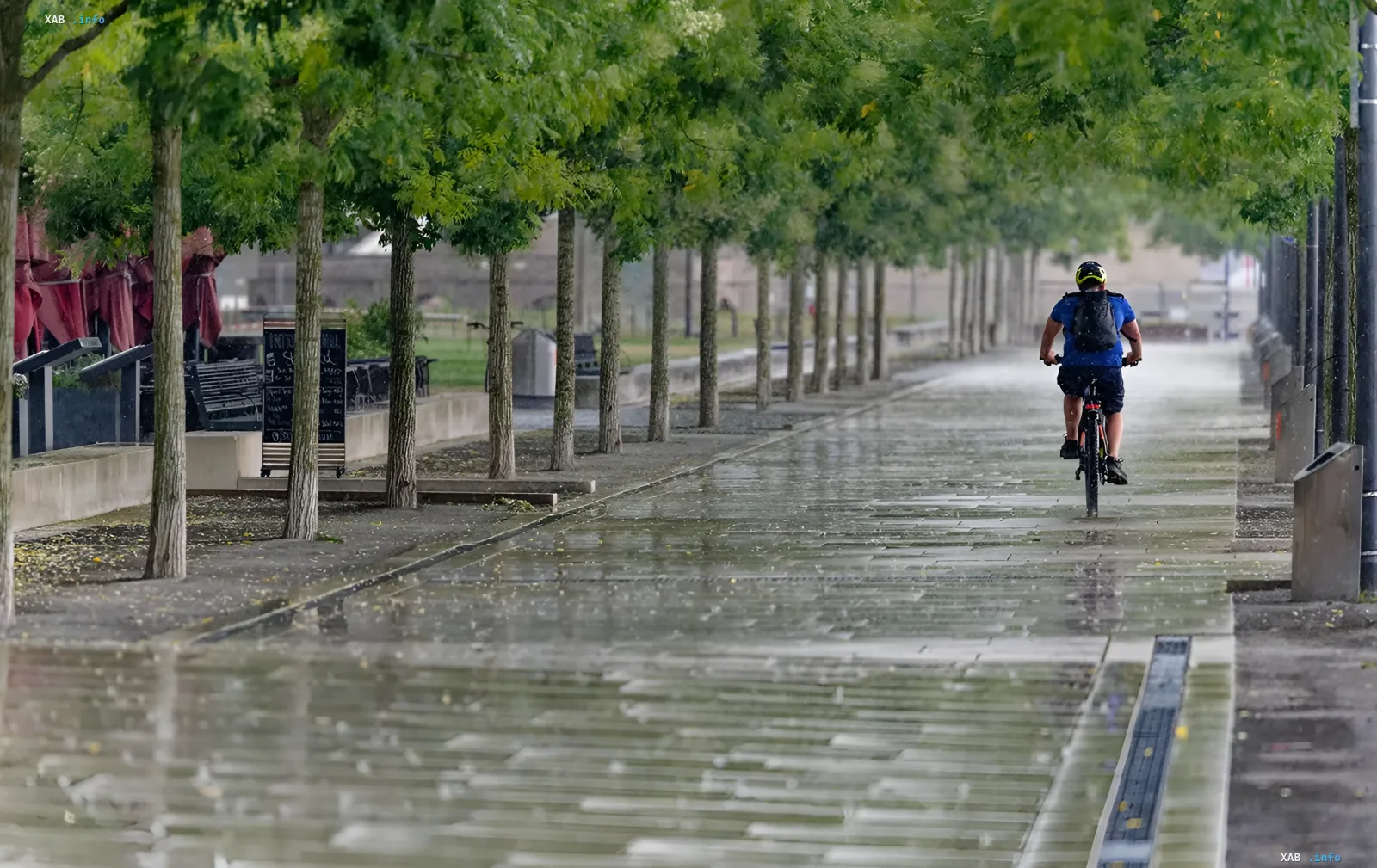 Cyclist rides on a wet park path during a downpour, symbolizing weather changes in Ukraine