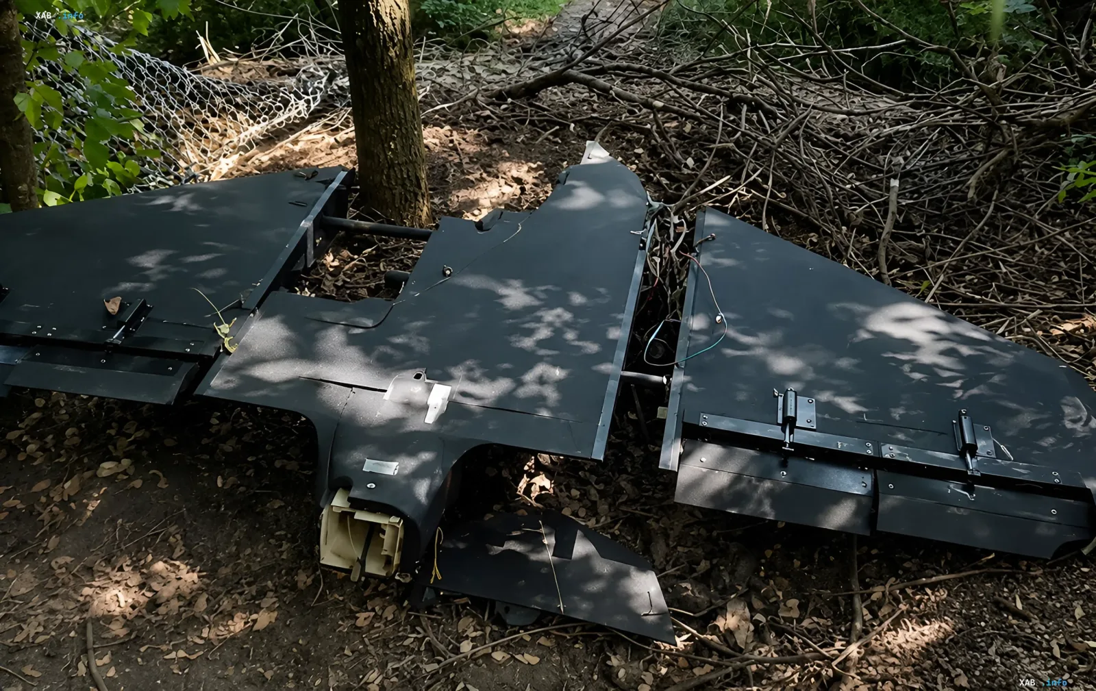 Debris of the Russian drone 'Gerbera' in the forest, shown by Zelensky's advisor