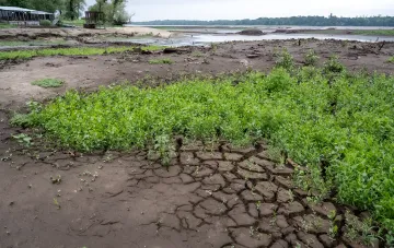 Ausgetrockenes Flussbett mit gerissener Erde und spärlicher Vegetation, das die Folgen des anomalen Juli 2026 für ukrainische Gewässer veranschaulicht.
