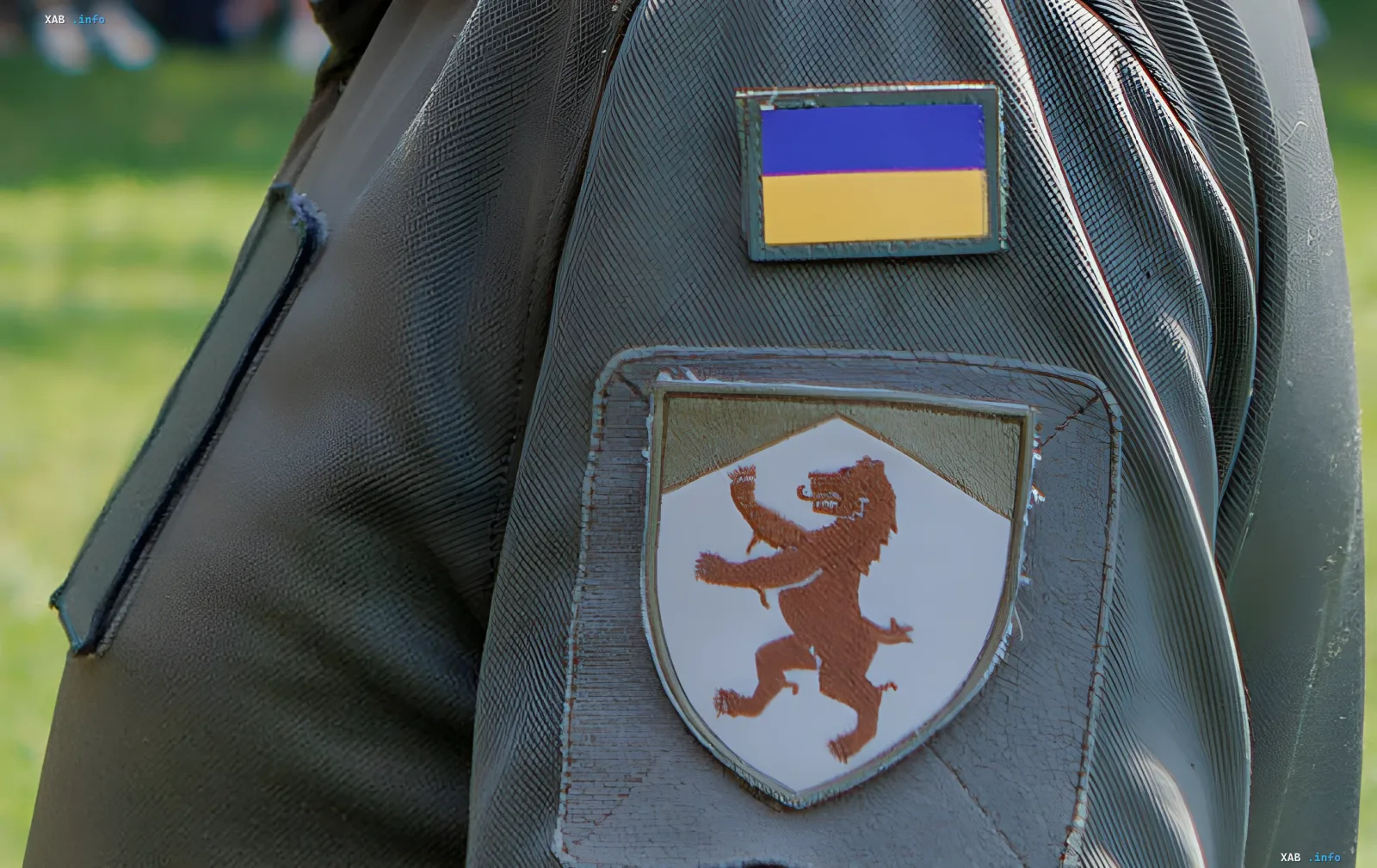Territorial Recruitment Center (TRC) badge with lion emblem and Ukrainian flag — symbol of the system where Zakarpattia officials illegally discharged nearly 1600 men