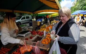 Покупательница выбирает свежие помидоры на рынке в Украине во время снижения цен на овощи
