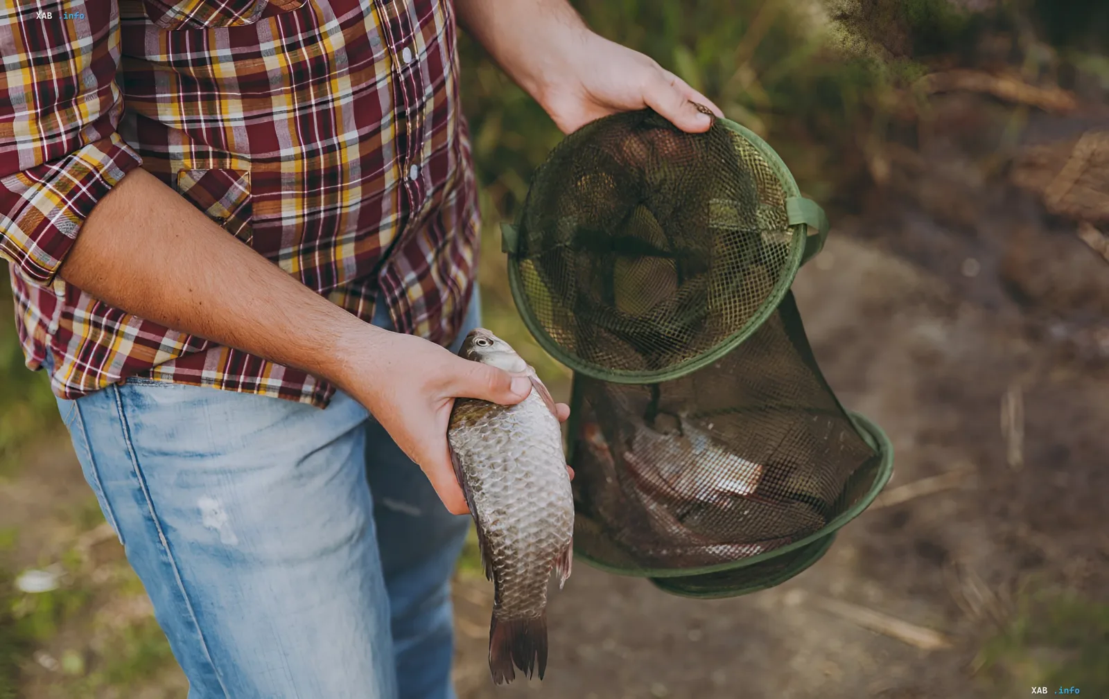 Fisherman holding a freshly caught fish and a netted catch basket against a natural waterbody backdrop — illustration for news on mass fish die-off in Kyiv region