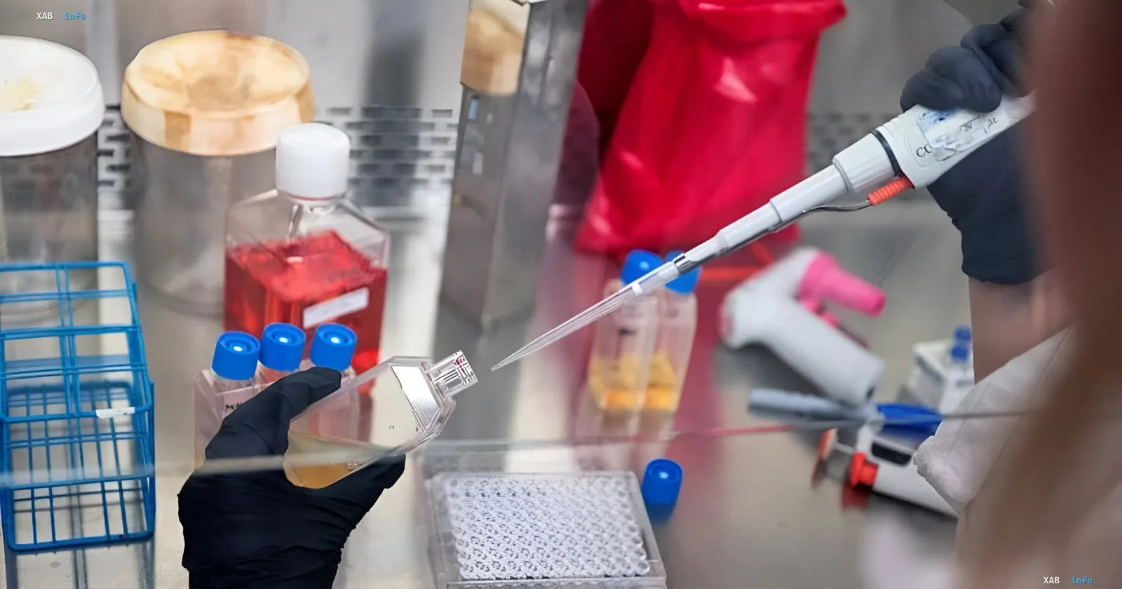 Wissenschaftler in Handschuhen arbeitet mit einer Reagenzglas und Pipette im Labor, was die Entwicklung eines Impfstoffs gegen Darmkrebs für Lynch-Syndrom-Träger symbolisiert