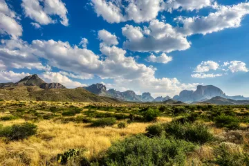 Texas-Landschaft mit Hügeln und Vegetation, die die Natur symbolisiert, die durch den Bau einer Gaskraftanlage von Amazon für KI gefährdet ist