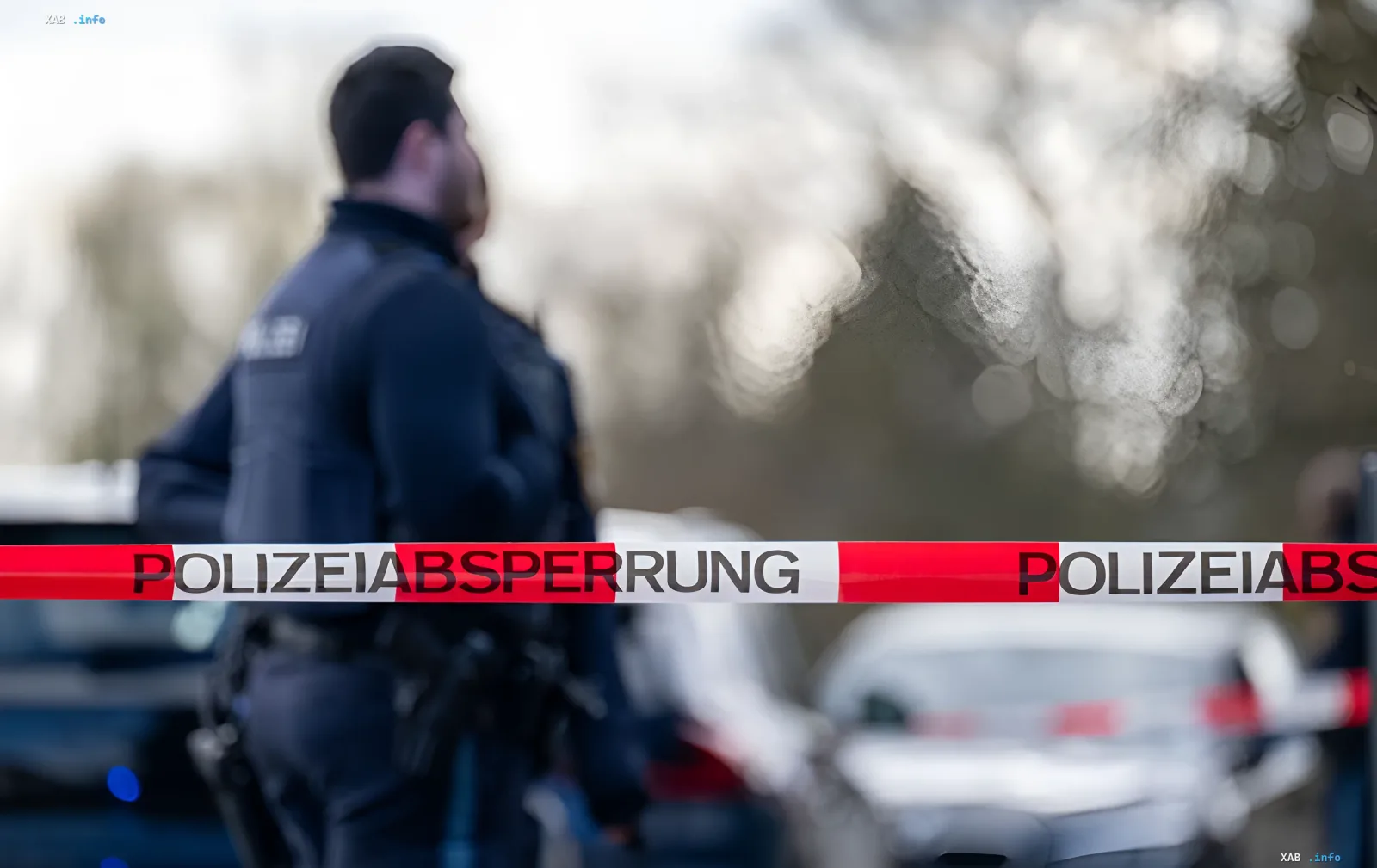 Поліцейський стоїть за стрічкою «POLIZEIABSPERRUNG» на тлі диму від фосфорної гранати часів Другої світової війни, знайденої в Гессені через посуху