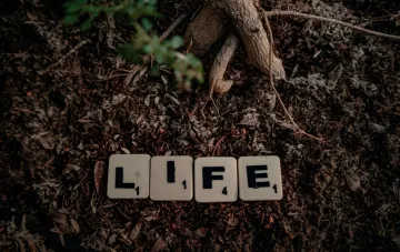 Буквы LIFE из Scrabble на почве у корней дерева — метафора двойного рождения жизни по версии немецких ученых