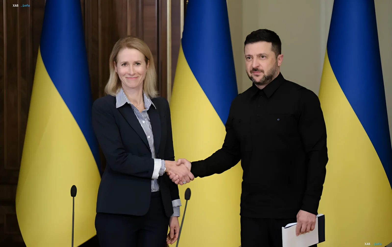 Рукопожатие украинского и европейского лидера на фоне флагов Украины, символизирующее укрепление партнерства в контексте санкций ЕС против Ирана