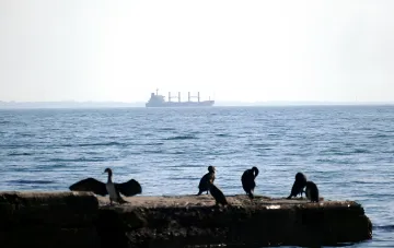 Поврежденное судно под флагом Того в акватории Одессы после удара, на переднем плане — птицы на камне