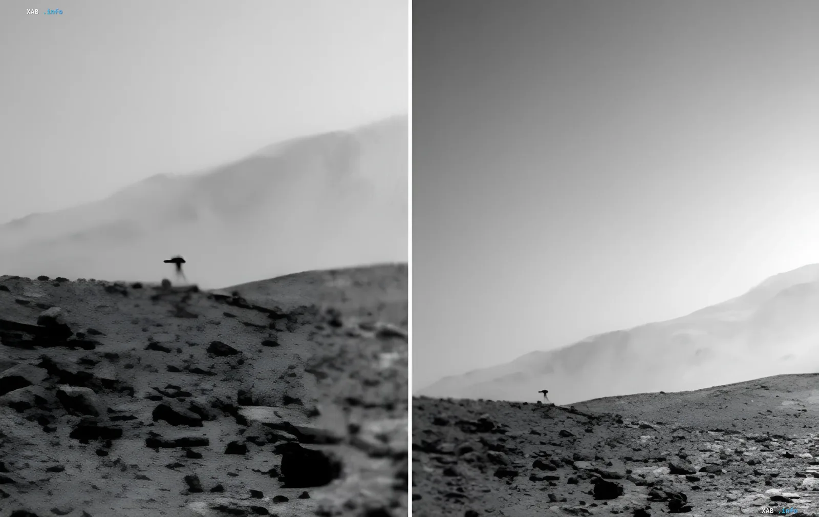 Призраки Красной планеты: NASA опубликовало фото «медузы» на Марсе, вызвавшее споры о внеземной жизни
