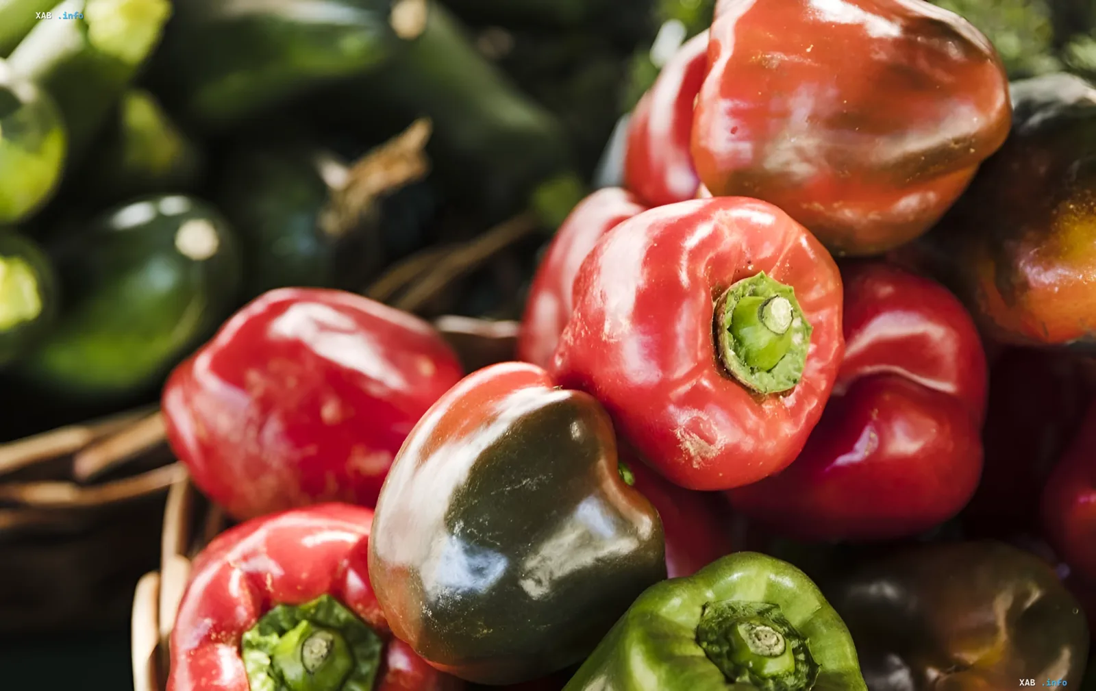 Basket of peppers in different colors: red, burgundy and green fruits illustrating the agronomist's trick to speed up pepper ripening on the bed in late summer