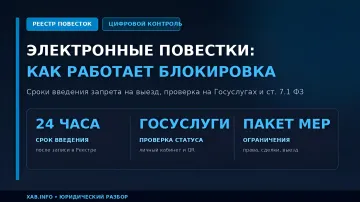 Mechanics of the electronic summons registry: automatic travel ban and status verification