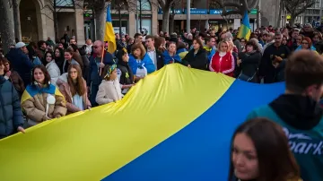 Украинцы на митинге с флагом Украины на фоне ужесточения правил для беженцев в Дании