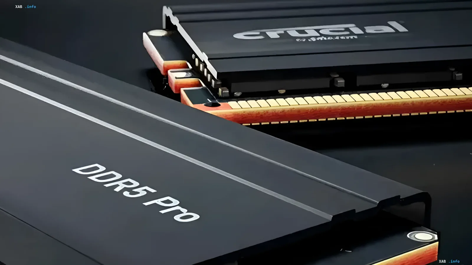 Модуль оперативной памяти Crucial DDR5 Pro на фоне дефицита DDR5 и атаки ботов перекупщиков