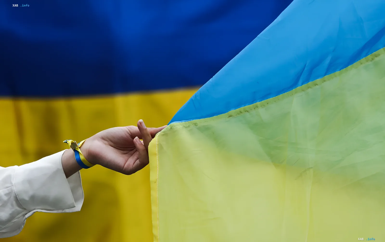 Рука держит за угол сине-жёлтый флаг Украины на фоне большого государственного флага — иллюстрация к разбору вексилолога о правильном порядке полос