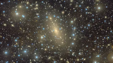 Giant galaxy IC 1101 in a cosmic cluster: a faint elliptical disk among stars and neighboring galaxies