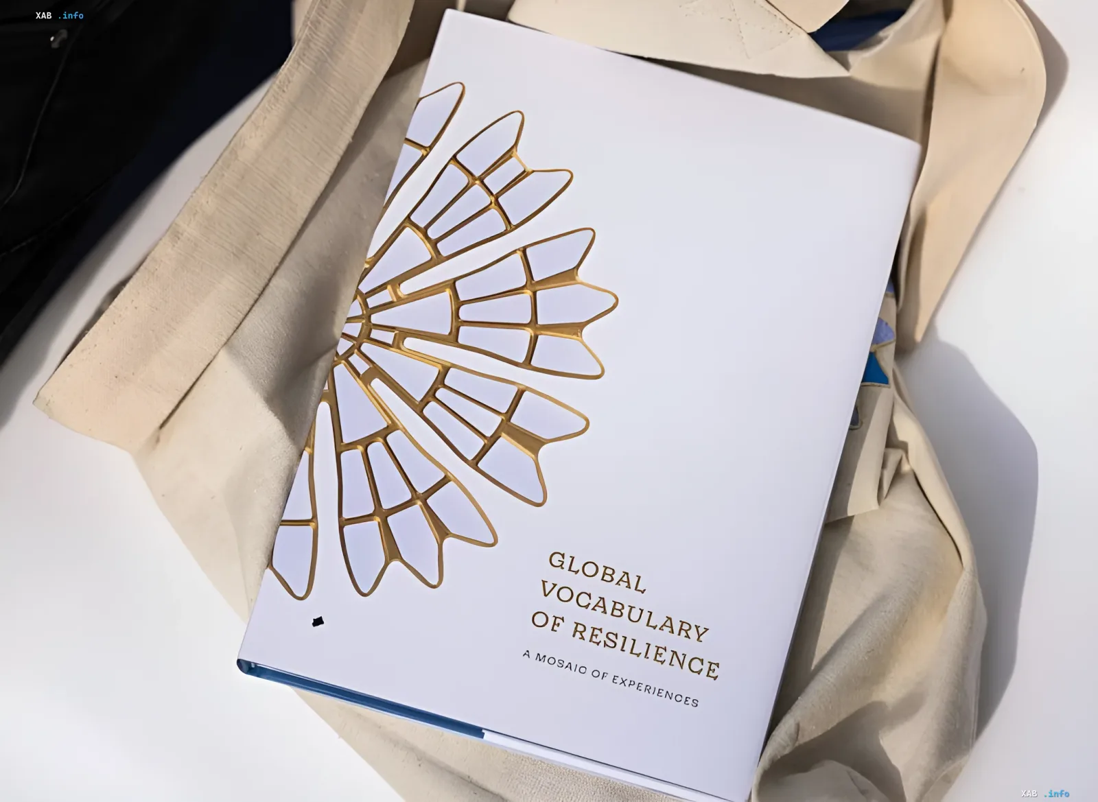 Книга «Глобальный словарь стойкости» (Global Vocabulary of Resilience) с золотым мозаичным узором на обложке, представленная в Киеве