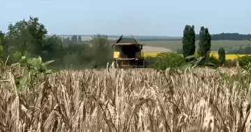 Комбайн убирает пшеницу на поле на фоне роста мировых цен на зерно