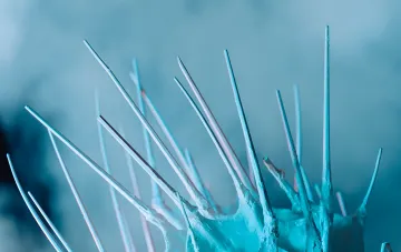 Кристаллические ледяные структуры, символизирующие древние вирусы, высвобождаемые из таящих ледников — иллюстрация исследования PLOS