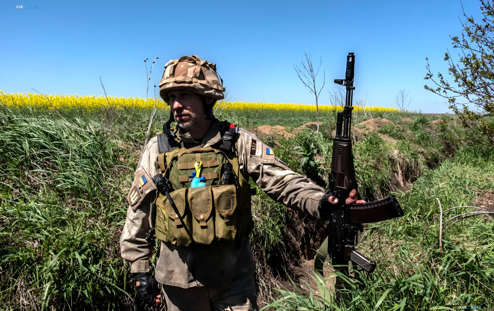Український військовий з автоматом у полі на тлі рапсових полів — питання зарплати після СЗЧ