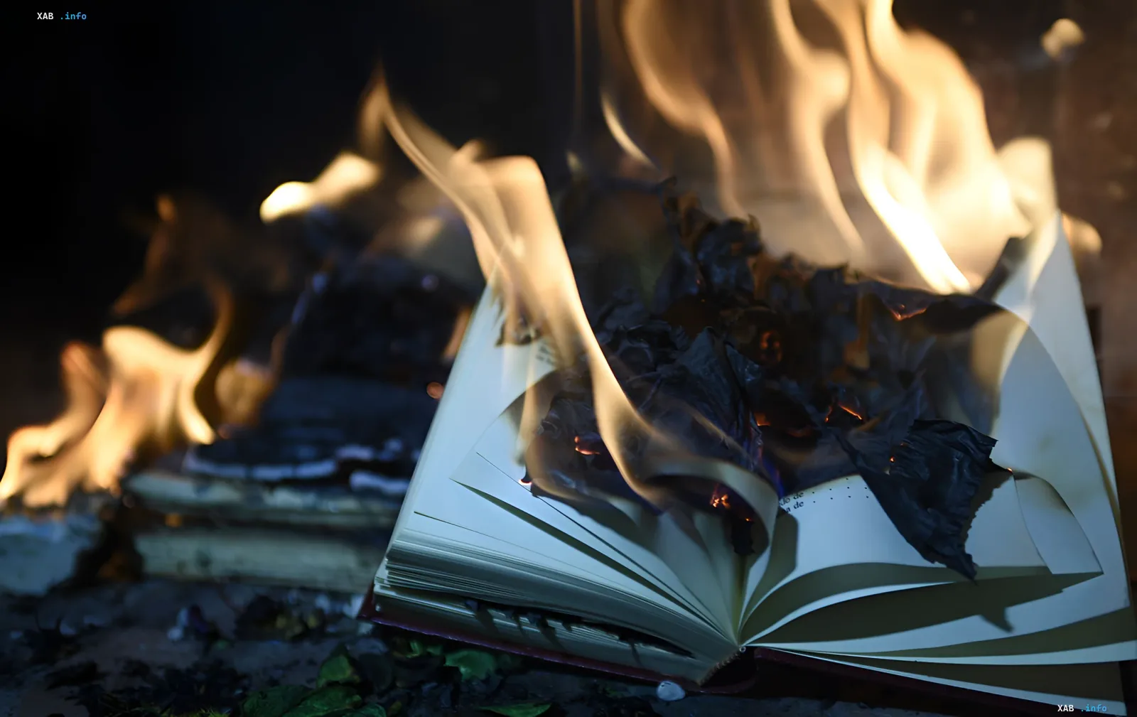Brennendes Buch vor Flammenhintergrund: Folgen des Nachtangriffs auf das Lager des Verlags A-ba-ba-ga-la-ma-ga