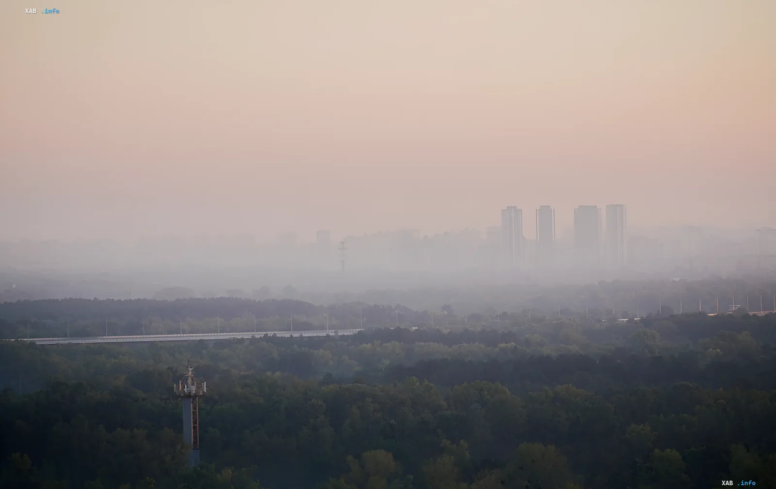 Vergilfter, smogverhangener Horizont über Wald und Hochhäusern in der Oblast Kiew nach russischen Angriffen, verschlechterte Luftqualität
