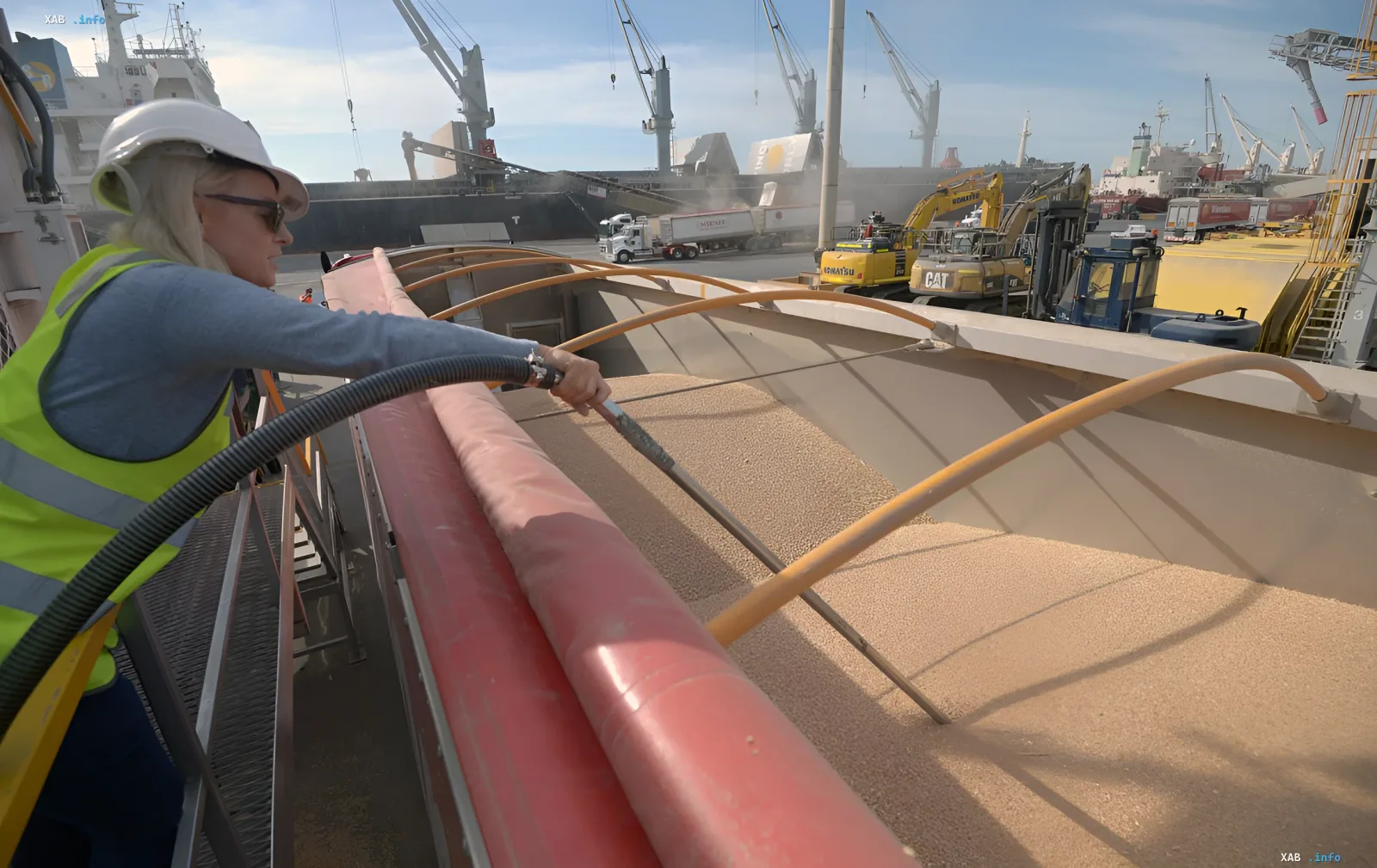 A grain terminal specialist samples cargo in a ship's hold against a backdrop of port cranes — work that depends on the Black Sea grain corridor