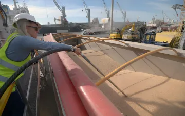 A grain terminal specialist samples cargo in a ship's hold against a backdrop of port cranes — work that depends on the Black Sea grain corridor