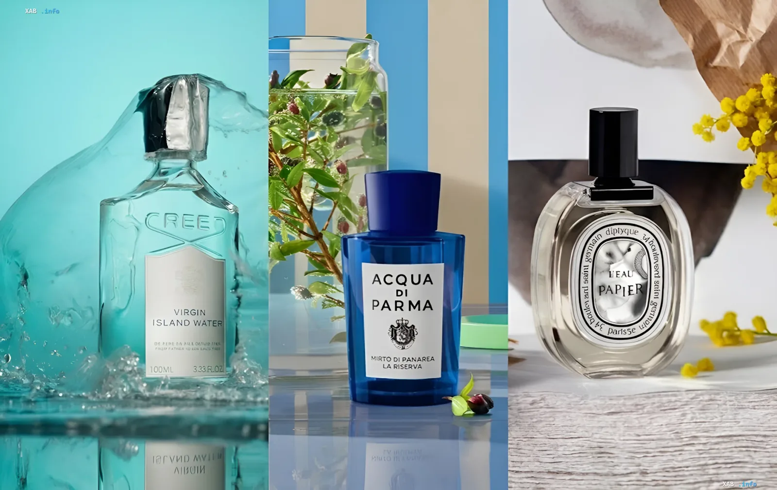 Auswahl von Parfums mit Meersalz: Creed Virgin Island Water, Acqua di Parma Mirto di Panarea und Diptyque L'Eau Papier vor Wasser und Grün