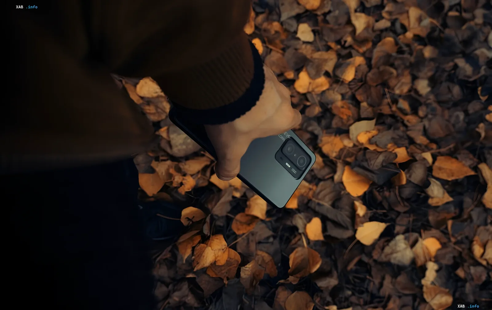 Person looking at Xiaomi smartphone with Smart Privacy Display feature against autumn leaves background